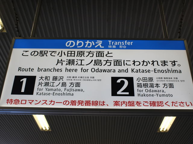 ���c�����ƍ]�m���������̉w�ŕ��򂵂܂�_���c�}�d�S���͑��w