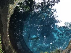 �`�c��N���Q�̎ʐ^1