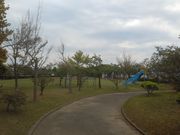 �T�r�L����̖��L�Βn�̓��e�ʐ^2