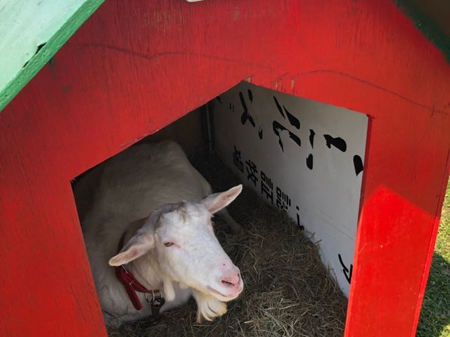 ���L�����_���[�N�q���t�@�[��