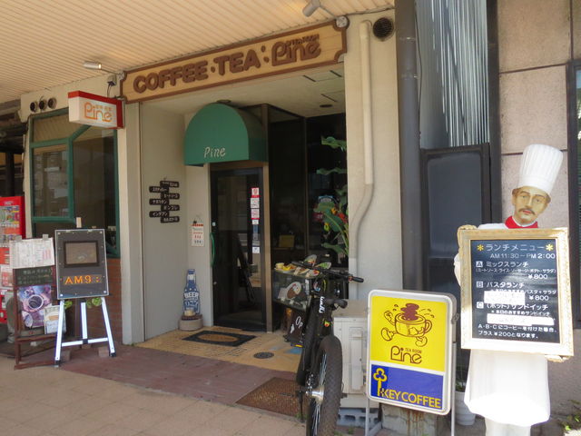 X̐ʁ@ẼRbN̊Ŕ_i Pine