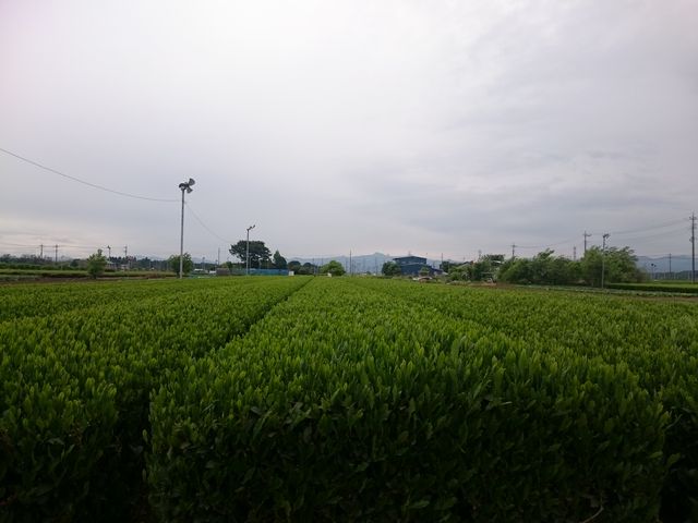 茶畑 茶畑】アクセス・営業時間・料金情報 - じゃらんnet