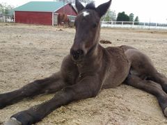 ݁[[ԁ[̂΂񂦂q\ւ̓eʐ^1