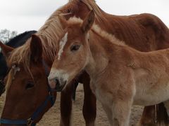 ݁[[ԁ[̂΂񂦂q\ւ̓eʐ^2