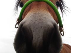 ݁[[ԁ[̂΂񂦂q\ւ̓eʐ^3