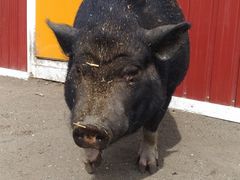 ݁[[ԁ[̂΂񂦂q\ւ̓eʐ^4