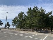 ��������񂳂�̌c�쏼���C�݂̓��e�ʐ^1