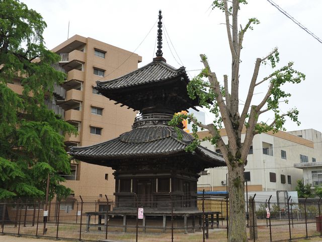 �w�O�ɂۂ�Ƒ��󓃂�_�ՏƎ�����