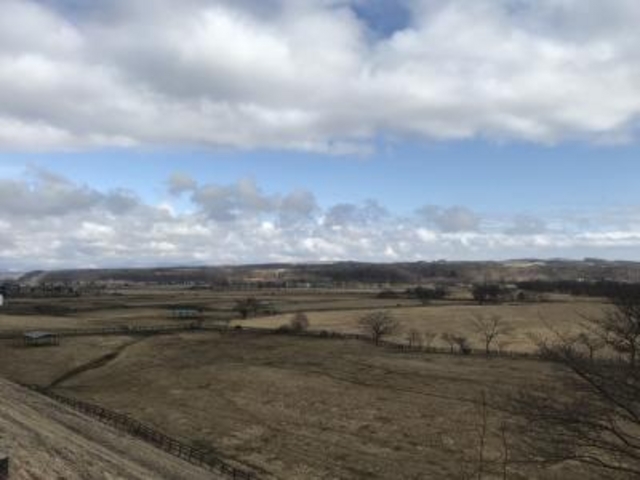 �����i�F�ł���_�V���T���u���b�h���