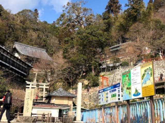 �y����_�|����