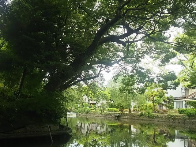 ���̗l�Ɏʂ鐅��_��������ό�