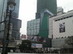 ܂ǂ̏aJwOXNu_ւ̓eʐ^1