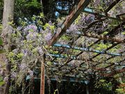 jkammy07̑ṽtW̓eʐ^2