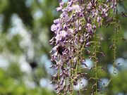 jkammy07̑ṽtW̓eʐ^3