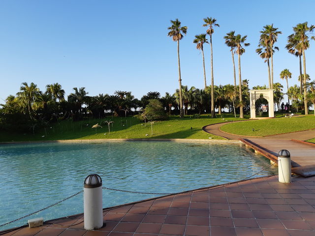 �z�e������̒���_�`�m�`�z���f�C�E�C�� ���]�[�g�{��