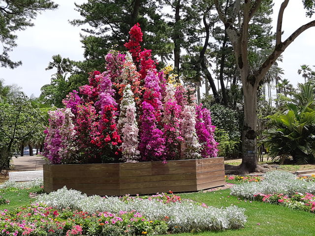 �{�^�j�b�N�K�[�f��_�`�m�`�z���f�C�E�C�� ���]�[�g�{��