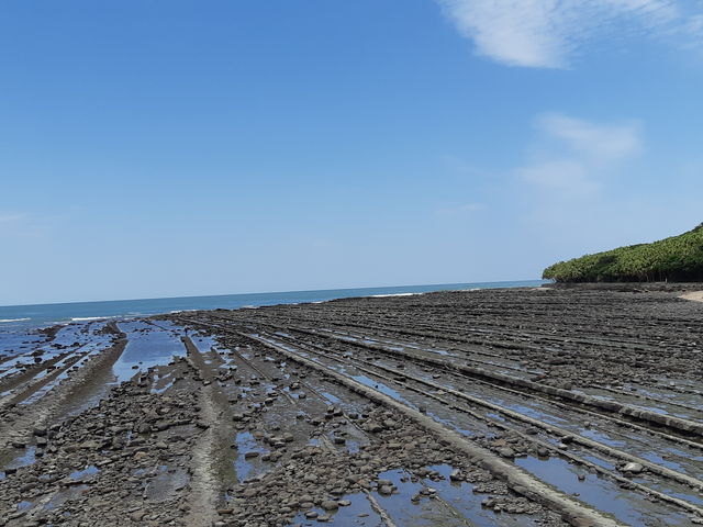 ��_�`�m�`�z���f�C�E�C�� ���]�[�g�{��