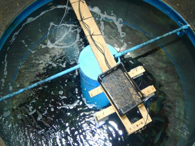 道の駅の水槽が上から見えました_露天風呂漁火