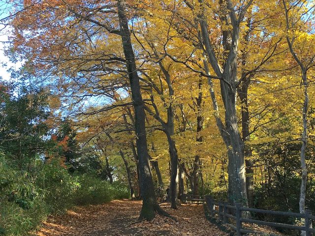 �ʐ�㐅�����̓�_�ʐ�㐅�Γ�