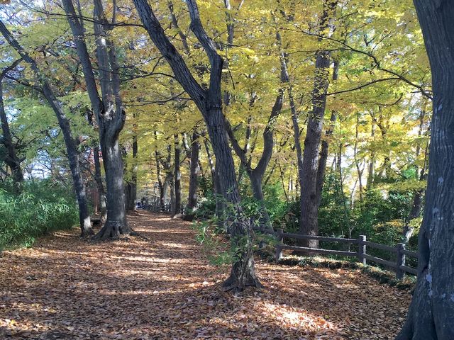 ���F���O�~_�ʐ�㐅�Γ�