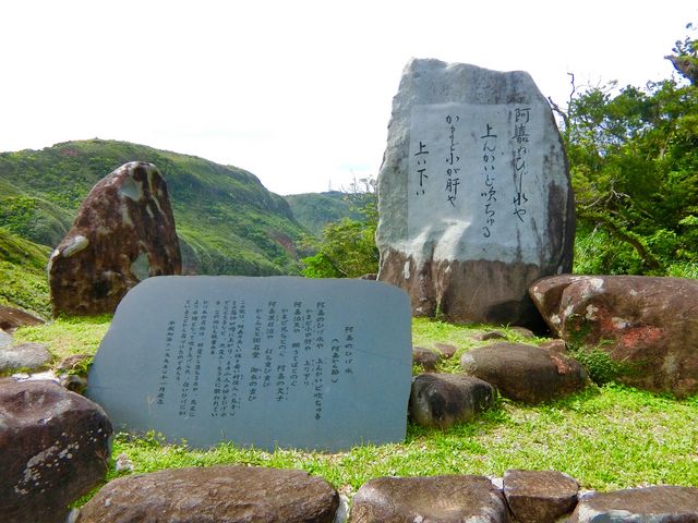 (᠁��)����̈��Â�颐��̓��e�ʐ^2