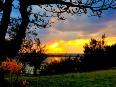 (᠁��)����̃V�����l�r�[�`�ւ̓��e�ʐ^1