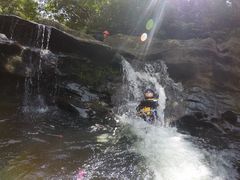 ferreco̐\Jk[cA[̂тՂՂûՂvւ̓eʐ^1