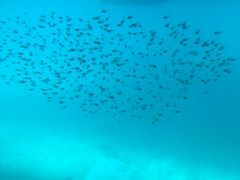 [ANAC^[R`l^r[`][gւ̓eʐ^1