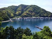 ЂЂ悳݂̂₰̓XɍYƂ̓eʐ^2