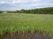 [ނ̏琼r̃JLco^Q̓eʐ^1