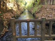 ӂ񂳂̂傤΂̓eʐ^2