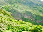 (᠁��)����̈��Â�颐��̓��e�ʐ^1