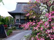 킽̓i쌧ܖsj̓eʐ^2