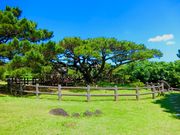 (᠁)̋vĂ̌܎}̏̓eʐ^1