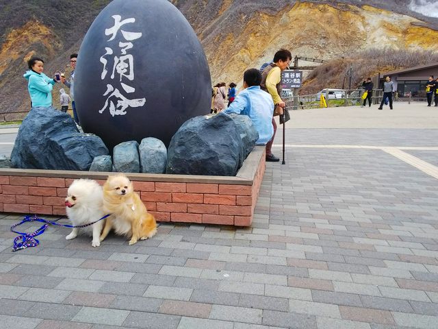 �����̒��̎B�e��B����ɽ�Ͼ݁B�J���C�C�`���N�d_��O�J