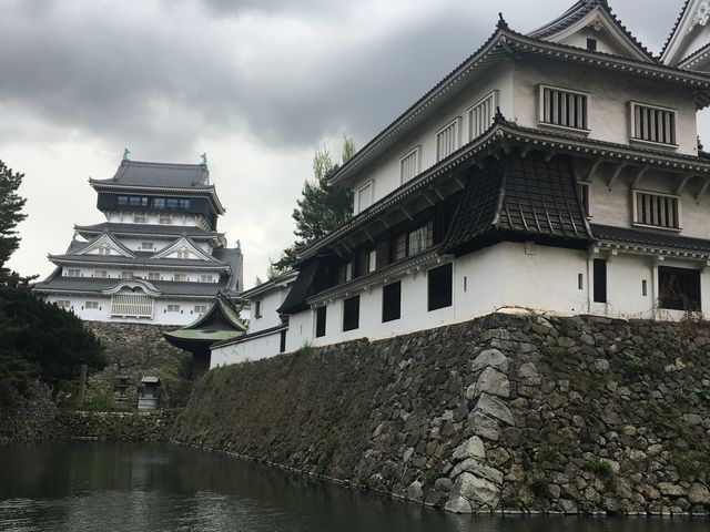 ���x�z���̏��q��_���q��