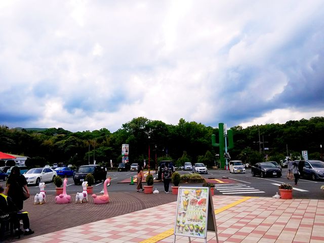 �q������񂪗V�ׂ�V��e���ɂ���܂��B_�ɓ��������̉w�����ς�ہ[��