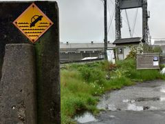 ���L�����̎ʐ^2