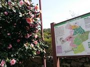 ܂܂̋vĂ΂̓eʐ^1