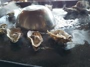 䂫̃XbcEICX^[ErbWispj̓eʐ^1