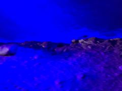 肦̏M̓AN[Yւ̓eʐ^1