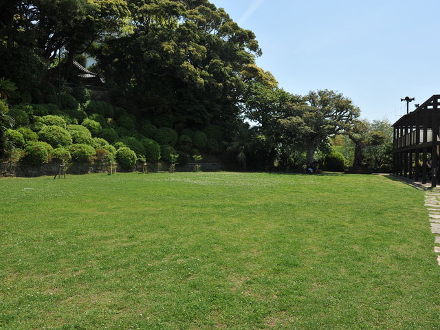 ���ꂢ�ȍL�ꂾ_�������