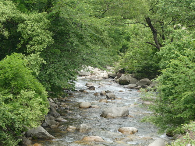 �G��݋����猩���G�쉺��_���c�A���v�X���Â݂̌����@�x���E�䍂�n��