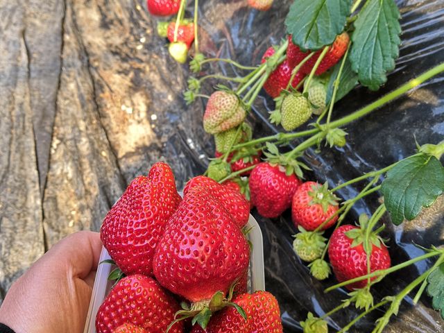 �i��   ����������_�����������h���������