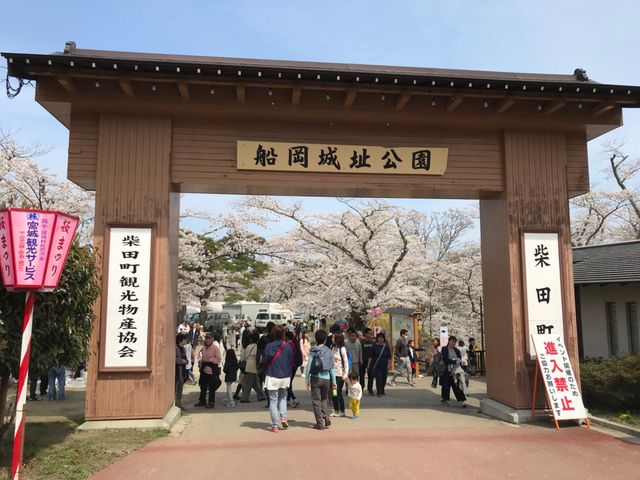 �ʐ^_�D���隬