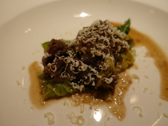 g\̃XgePelliniA_[WIz̓eʐ^1