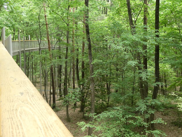 󒆉L_cAvXÂ݂̌@咬En@