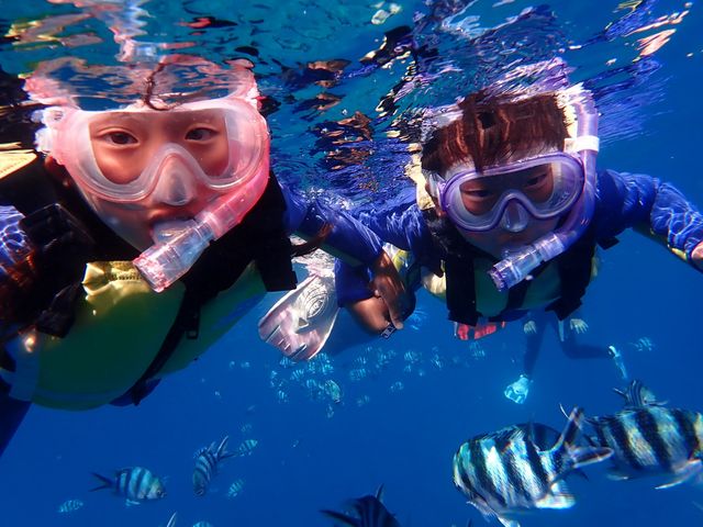 ��������̋������ɑ��сI_�V���m�[�P�����{�@�I�L�i��