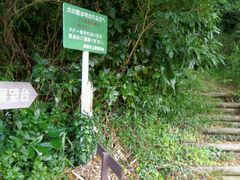 ���̂��˖т���̐Ԋ�W�]��ւ̓��e�ʐ^1