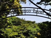 �����̂�������̃t�����V�X�R�E�U�r�G���L�O��̓��e�ʐ^1